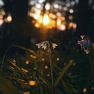 Meet your Posher, Cecilia